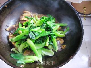 酱香油菜香菇的做法步骤：5