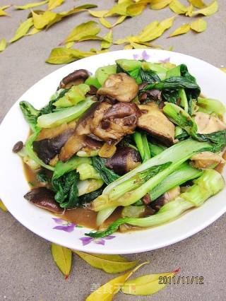 酱香油菜香菇的做法步骤：7