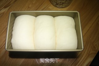 奶酥山形吐司-中种的做法步骤：20