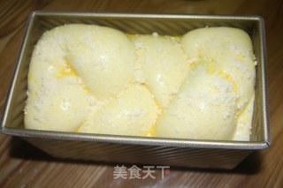 蜜豆辫子吐司-中种的做法步骤：19