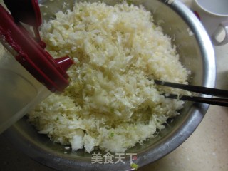 黄金煎饺的做法步骤：5