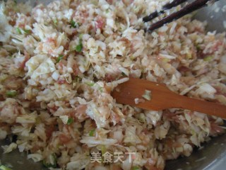 黄金煎饺的做法步骤：6
