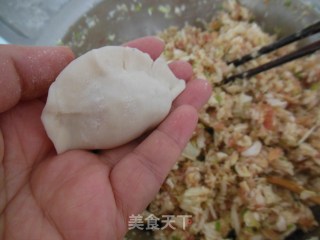 黄金煎饺的做法步骤：8