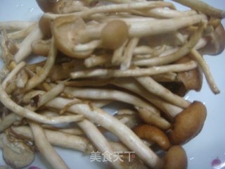 茶树菇炒里脊肉的做法步骤：3