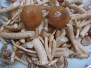 茶树菇炒里脊肉的做法步骤：4
