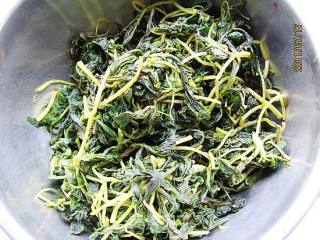 蒜香苋菜的做法步骤：2