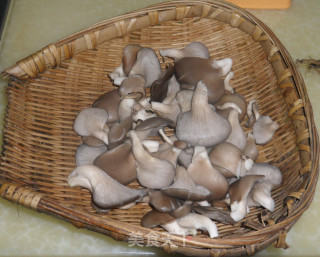 平菇梅肉汤的做法步骤：1