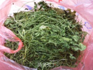 自制香菜粉的做法步骤：4