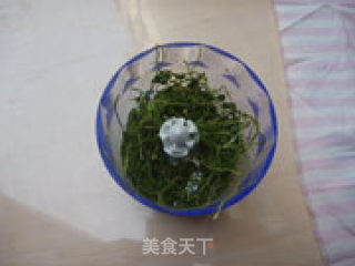自制香菜粉的做法步骤：5