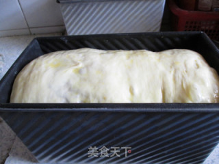 红豆沙吐司的做法步骤：11