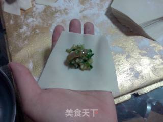大肚韭菜猪肉馄饨的做法步骤：5