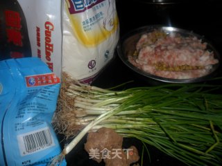 香葱肉包——抵挡不了的美味食物的做法步骤：1