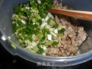 香葱肉包——抵挡不了的美味食物的做法步骤：5