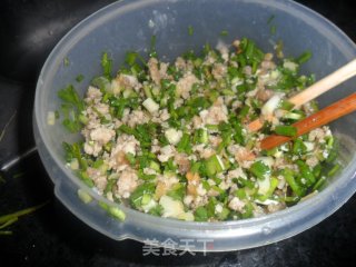 香葱肉包——抵挡不了的美味食物的做法步骤：6