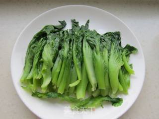 蚝油水东芥菜的做法步骤：5
