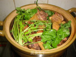 南乳双菇沙锅焖鸡的做法步骤：7