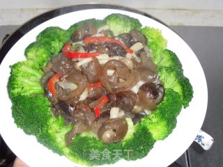 菌菇烩海参的做法步骤：12