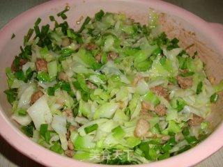 春天的使者---翡翠哈哈菜肉包的做法步骤：3