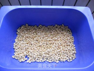 香酥炒黄豆的做法步骤：4
