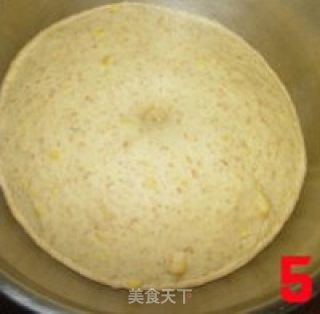 小麦胚芽玉米面包的做法步骤：5