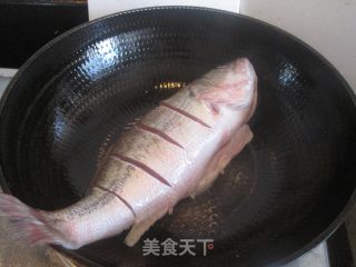 红烧鲈鱼的做法步骤：3
