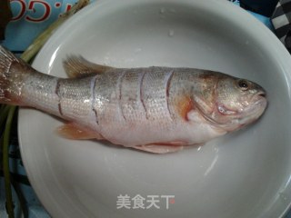 鼓汁蒸鲈鱼的做法步骤：4