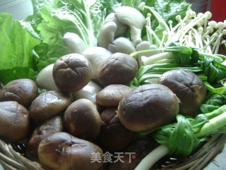 香香的腊排汤锅的做法步骤：6