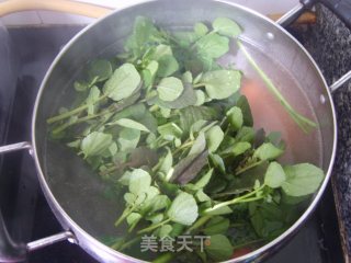 老火靓汤——猪骨煲西洋菜的做法步骤：8