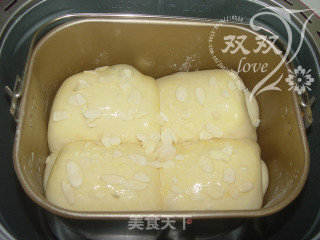 70后记忆中的老味道——港式土司的做法步骤：13