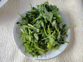 香菜炒豆芽的做法步骤：3