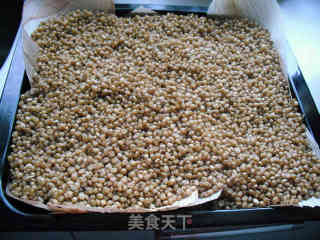 140天的酝酿——纯天然手工自制麦酱的做法步骤：4