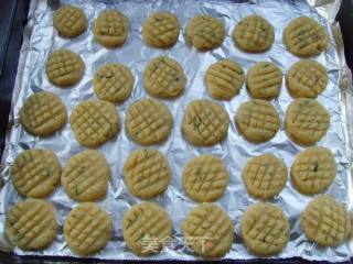 清香提神---迷迭香全麦酥饼的做法步骤：7