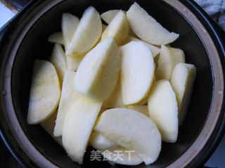 苹果脯（碳烘版）的做法步骤：2