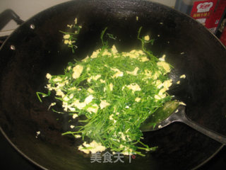 鸡蛋炒豆苗的做法步骤：9