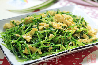 鸡蛋炒豆苗的做法步骤：10