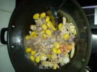 栗子焖鸡的做法步骤：5