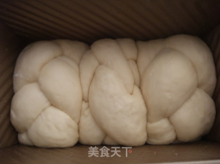 奶香土司面包的做法步骤：5