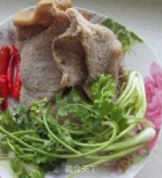 红油牛肚的做法步骤：1