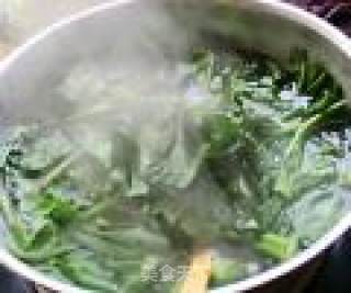 蒜泥菠菜的做法步骤：3