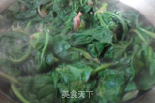 【菠菜拌粉皮】的做法步骤：2