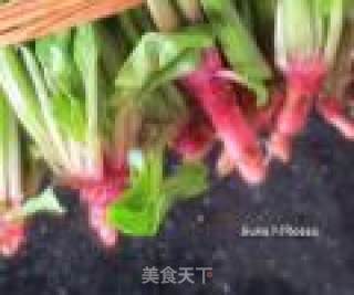 红嘴绿鹦哥——蒜泥菠菜的做法步骤：2