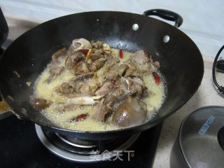 啤洒羊肉的做法步骤：8