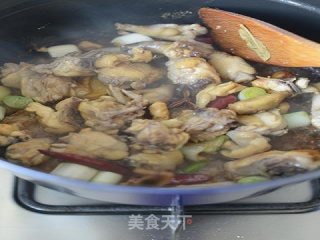 小鸡炖蘑菇的做法步骤：10