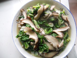 香菇青菜的做法步骤：4