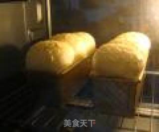 【直接法北海道吐司】的做法步骤：9