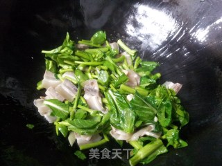 菜薹炒咸肉的做法步骤：7