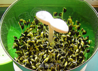 豆芽机生有机黑豆芽的做法步骤：11