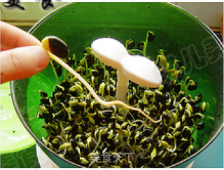 豆芽机生有机黑豆芽的做法步骤：12