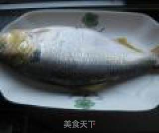 家常炖巴西油鲱（南美快鱼)的做法步骤：3