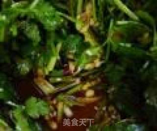 凉拌香菜的做法步骤：11
